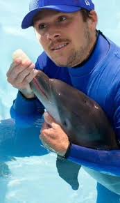 Top 10 Super Bowl LIX contenders 👀