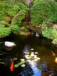 Maybe you would like to learn more about one of these? Grotto Traditional Landscape Los Angeles By Gilson Group Landscape Design Houzz