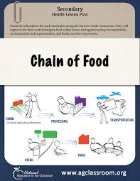 Secondary Lesson Plan Teaching About Food Safety As Food Travels From The Farm To Our Table Health Lesson Plans High School Health Lessons Teaching Plan