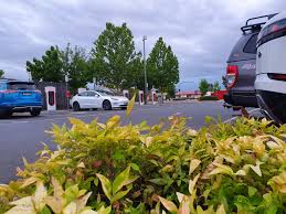 A Month Into Owning A Tesla Model 3 Performance Here S What I Learnt Techau