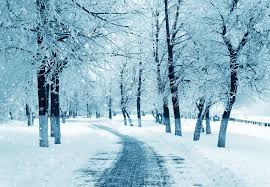Every season has its advantages. Does The Winter Season Cause Depression Siowfa15 Science In Our World Certainty And Controversy