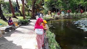 Di mana kini kau berada. Menikmati Indahnya Teratai Di Taman Kolam Sekupang Tempat Me