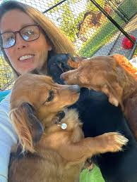 Posh Paws Pet Resort