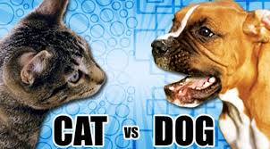 The dogs and cats dataset was first introduced for a kaggle competition in 2013. Pet Expert Steve Dale Examines Who Is Smarter Cats Or Dogs