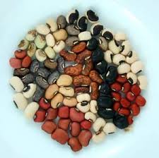 Image result for Vigna unguiculata