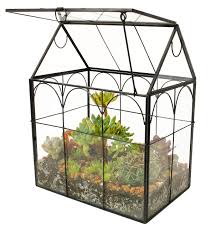 Upon closer look, he noticed a small bit of fern and grass began to sprout from the damp soil. Elegantlife Succulent Terrarium House Shape Handmade Succulent Pot With Top Swing Lid Planter Case For Fern Moss Cacti Air Plants No Plant Included Buy Online In Macedonia At Macedonia Desertcart Com Productid 149063797