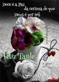 Pin de Mely Roman en Imágenes | Buenas noches con flores, Mensajes de  buenas tardes, Frases de buenas tardes