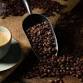 Tegahwa International Coffee Exhibition 2025 event in Doha