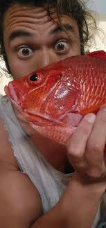 It stabbed me. #spearfishing , #marinebiology #hawaii #fishing #biology  #merman #ouch #spines #red #blades #alaihi #alaihimama #squirrelfish