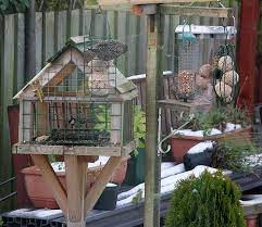 Making Bird Feeders Pigeon Proof Google Search Bird Feeders Bird Seed Bird