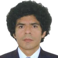 100+ perfiles de «Bob Castillo»