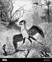 Crocodiles a Black and White Stock Photos & Images - Page 3 - Alamy