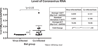 It was first identified in december 2019 in wuhan,. White Nose Syndrome Is Associated With Increased Replication Of A Naturally Persisting Coronaviruses In Bats Scientific Reports