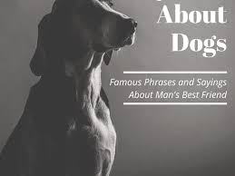 Dogs make for the best friends, and it's only right that we celebrate them for all the joy and love they've given us. Famous Quotes About Dogs Holidappy