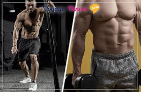 Prise de masse seche comment atteindre vos objectifs. Quelle Alimentation Pour Un Programme De Seche Ou De Prise De Masse Voyage Fitness
