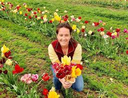 Cherokee sunset mix yields large four to five inch diameter flowers in rustic red, orange, bronze, yellow, and gold. Scottish Flower Growers Unite To Promote Grown Not Flown The Scottish Farmer