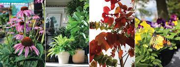 Allisonville nursery, garden & home. Allisonville Garden Home Home Facebook