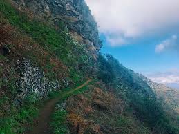 Wandern Im Anaga Gebirge Der Grune Norden Von Teneriffa In 2020 Teneriffa Gebirge Wandern