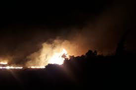 Araçlardaki i̇mdat kolu, duraklarda acil çağrı telefonu kullanılır ya da en yakın istasyon yetkilisi uyarılarak bilgi verilir. Antalya Da Kirsal Alan Yangini Bursada Bugun Bursa Bursa Haber Bursa Haberi Bursa Haberleri Bursa