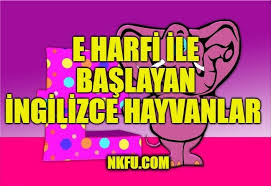 E Harfiyle Baslayan Ingilizce Hayvanlar Nkfu