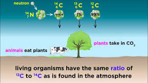 Now, new applications for the technique are emerging in forensics, thanks to. Radiometric Dating Carbon 14 And Uranium 238 Youtube