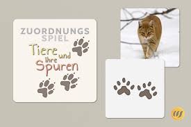 Dieses schöne memory zum ausdrucken kann man mit der hübsch illustrierten vorlage einfach selber machen oder mit kindern basteln. Tierspuren Memory Tierspuren Zum Ausdrucken Kostenlos Spieletipps Fur Kinder Im Januar Tierspuren Im Schnee 54 Kostenlose Bilder Zum Thema Tierspuren Pictures Aesthetic