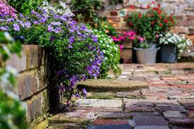 Desperate to get going after months of enforced idleness? How To Get Your Garden Ready For A Spring Viewing Carman Friend
