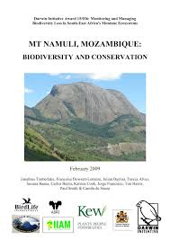 Image result for Ceropegia namuliensis