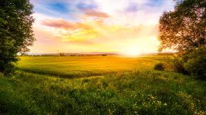 The term can also refer to the entire process of the solar disk crossing the horizon and its. 20 Sunrise Quotes Sayings About The Start Of A New Day