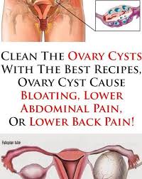 Pin On Infertility