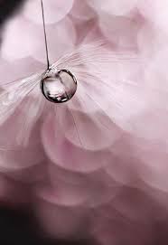 Pin On La Goutte D Eau Qui Fait Deborder Le Vase