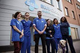 At blue cross animal hospital, we understand the special bond you share with your pets. Blue Cross Pet Charity Stars In New National Tv Series Katzenworld