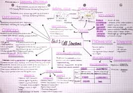 Biology Cell Structure Mind Map Gcse Biology Revision Gcse Science Revision Biology Revision