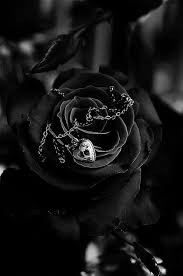 موقع يقدم مقالات تقنية تطبيقات وبرامج العاب مجانية حسابات فورتنايت مجانية black roses wallpaper purple flowers wallpaper black rose tattoos