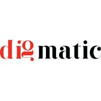 Digmatic Advertising Agency Management Team