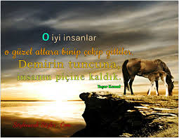 yasar kemal sozleri guzel soz komik hayat