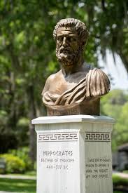 Image result for Hippocratea goetzei