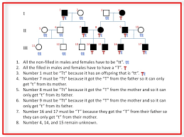 Pedigree Basics