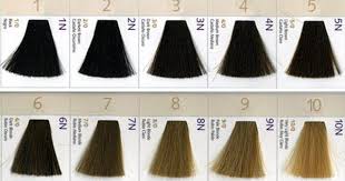 Natural Hair Level Color Chart Google Search Hair Color Swatches Hair Levels Hair Color Chart