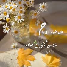 على وضوء الصباح Beautiful Morning Messages Good Morning Greetings Morning Quotes Images