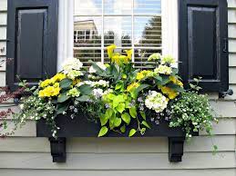 For this demo we are using a window box from our estate collection, and we ar. 15 Gorgeous Flowering Window Box Ideas For Spring