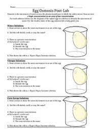 It has tiny pores or holes that allow objects to move across it. Egg Osmosis Lab Report Pdf Lab Report On Egg Osmosis