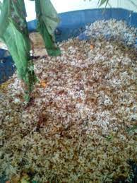 Ternak semut rangrang memang belakangan ini sering menjadi bahan pembicaraan. Cara Budidaya Kroto Semut Rangrang Bagi Pemula Tips Dan Bisnis Seputar Burung
