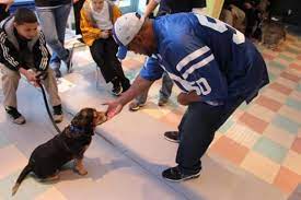 Community Humane Society Humane Society Indianapolis Colts Football Society
