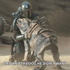 Pin By Jsymonds On Books Star Wars Humor Star Wars Characters Star Wars Jokes