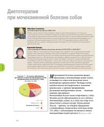 Инкубатор для 48 яиц-температура и переворот