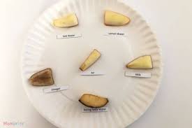 It doesn't change the taste of the fruit noticeably at all. Apple Oxidation Science Experiment Free Worksheet Mombrite