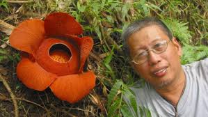 Masungi Georeserve: A green frontier championing endangered and endemic  wildlife