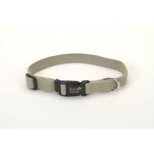 Pin On Collars Harnesses Leashes