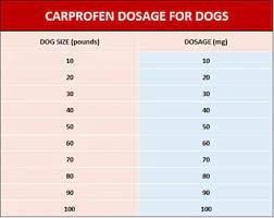 Vet Corner Carprofen For Dogs